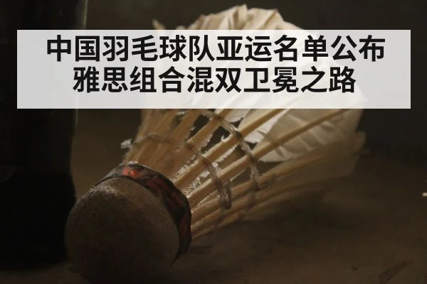 中国羽毛球队亚运名单公布 雅思组合混双卫冕之路